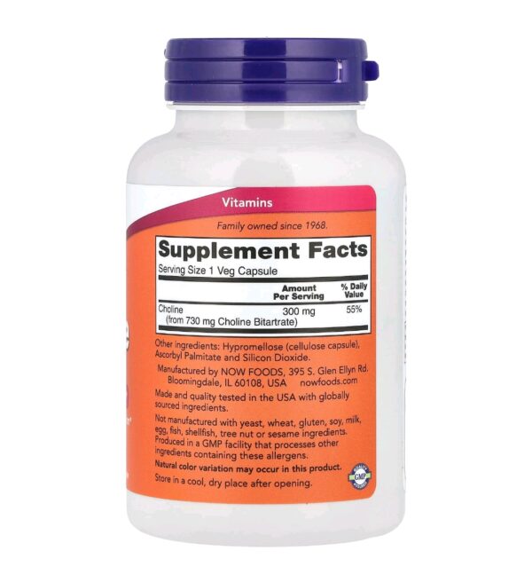 Choline 300mg now 100 caps