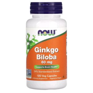 ginkgo-biloba-60mg-120-caps